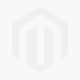 Transcription/Translation Systems Transcription/Translation Systems